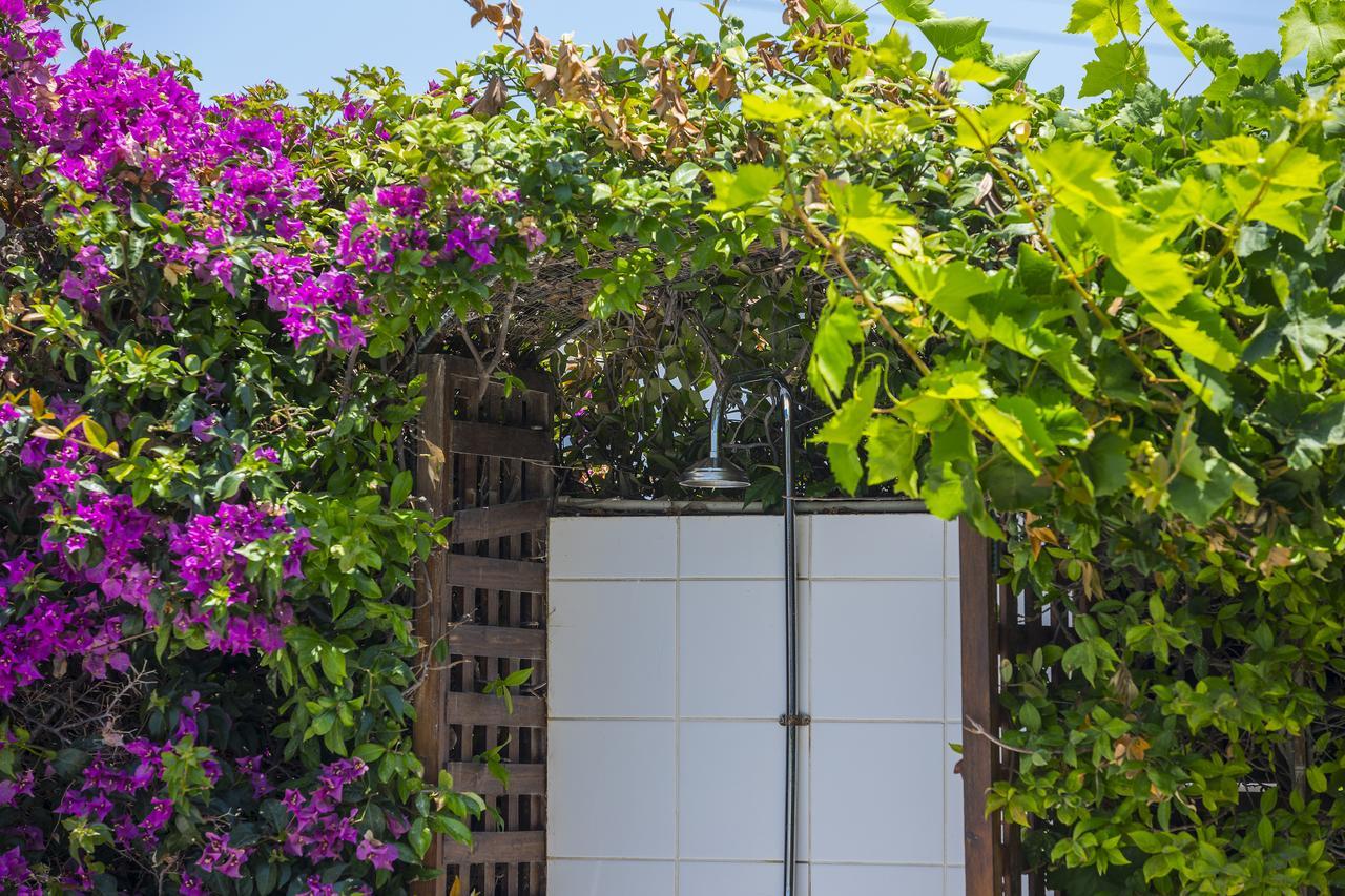 Villa Elias Ajía Nápa Kültér fotó